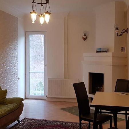 Guest House Likani 2017 Borjomi Cameră foto