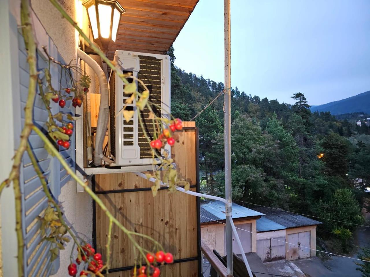Guest House Likani 2017 Borjomi Cameră foto