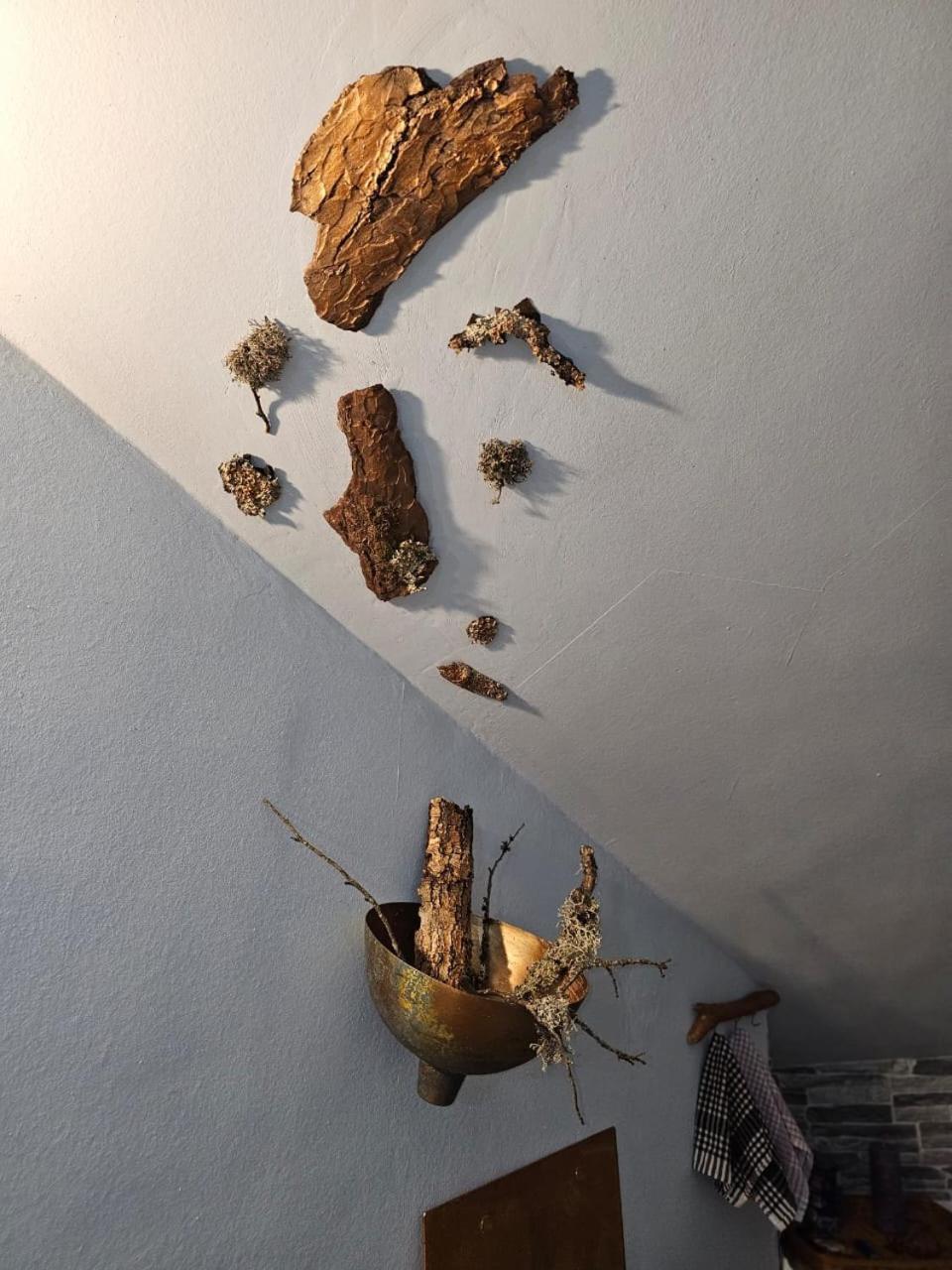 Guest House Likani 2017 Borjomi Cameră foto
