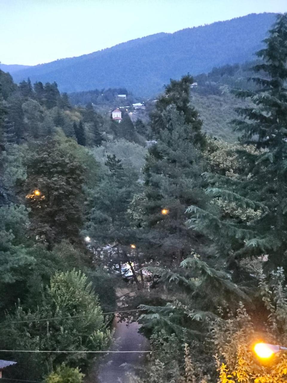 Guest House Likani 2017 Borjomi Cameră foto