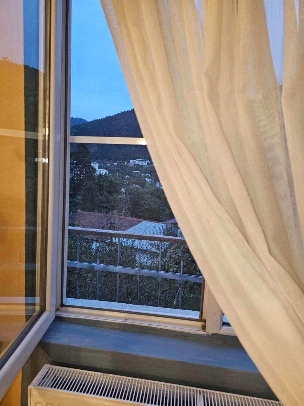 Guest House Likani 2017 Borjomi Cameră foto