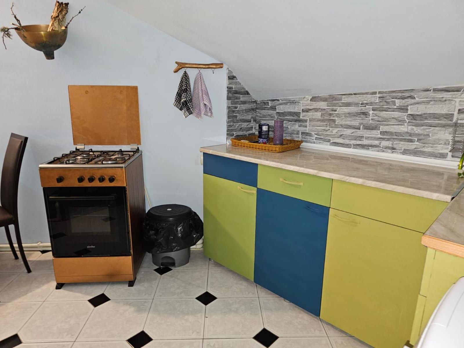 Guest House Likani 2017 Borjomi Cameră foto