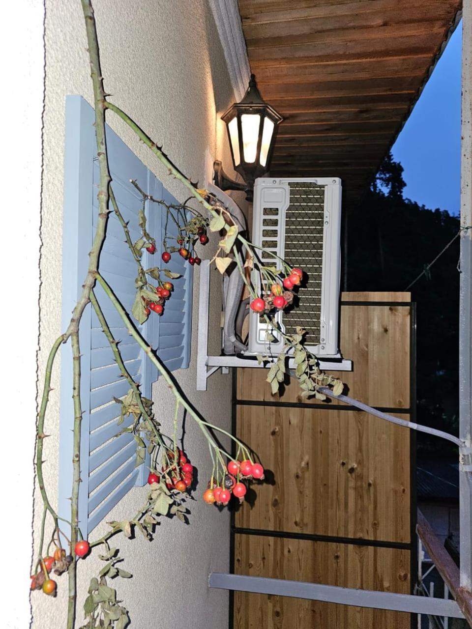 Guest House Likani 2017 Borjomi Cameră foto