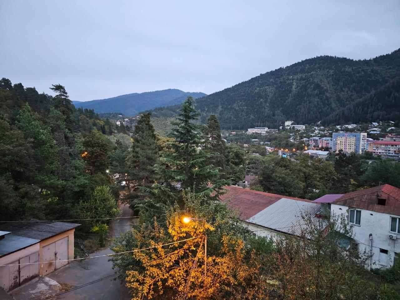 Guest House Likani 2017 Borjomi Cameră foto