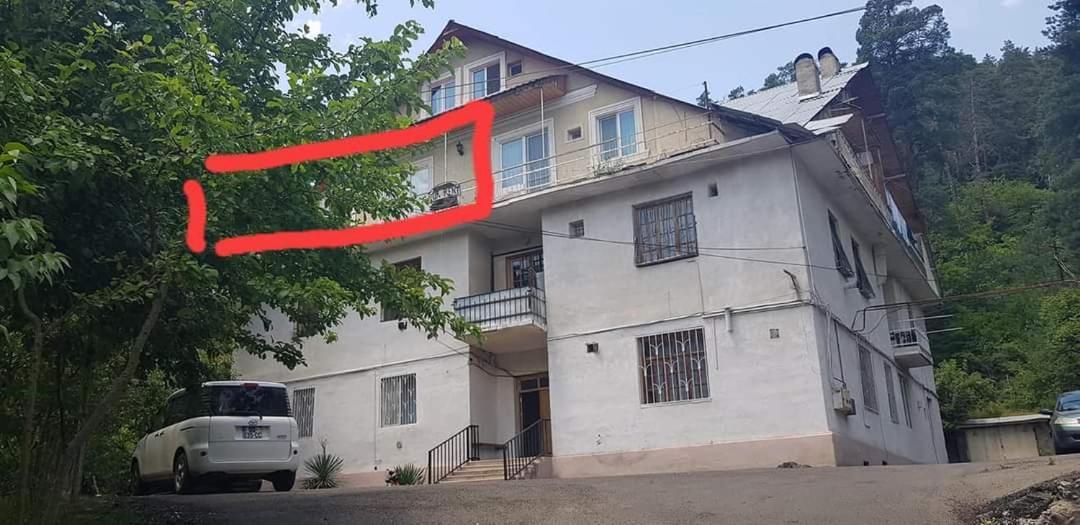 Guest House Likani 2017 Borjomi Cameră foto