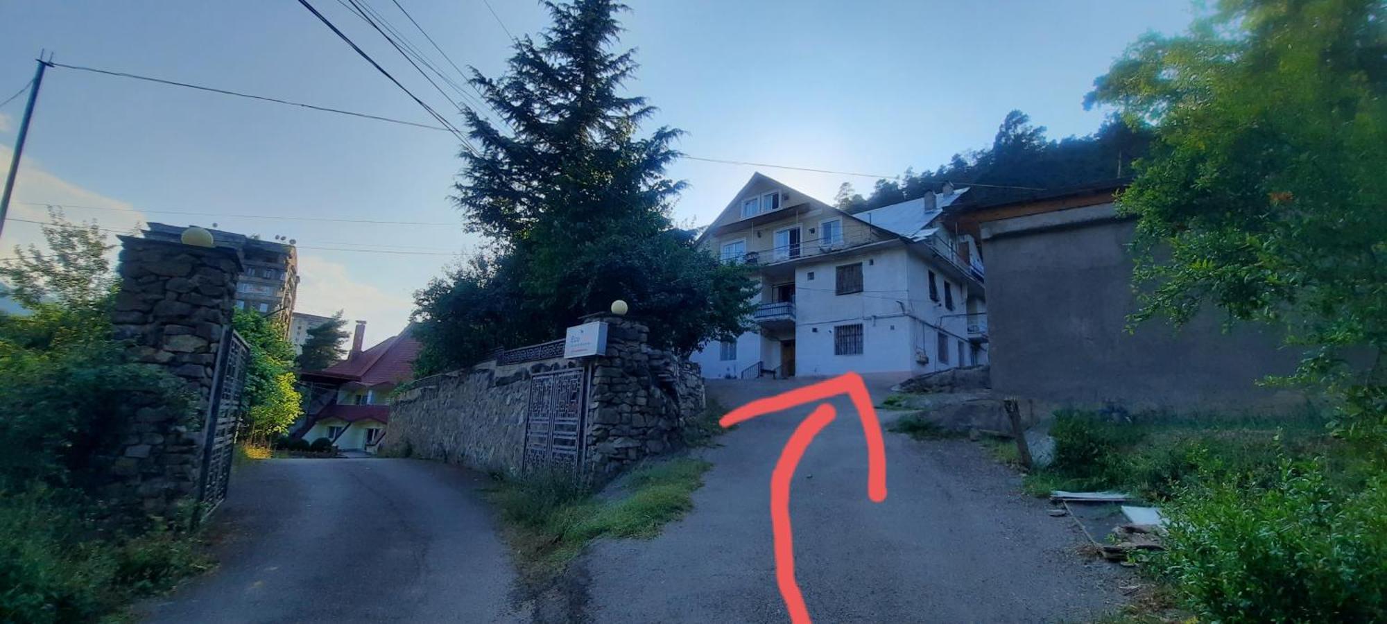 Guest House Likani 2017 Borjomi Cameră foto