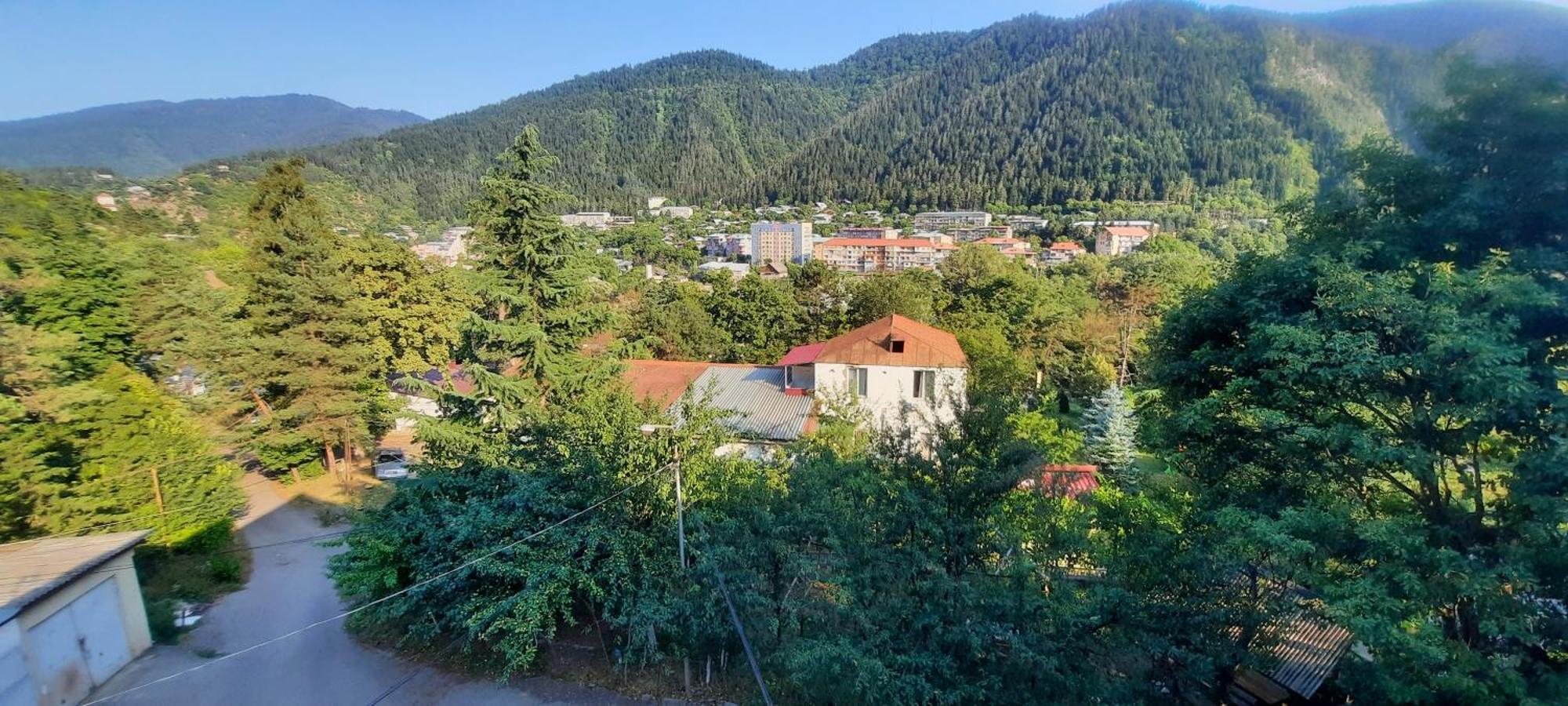 Guest House Likani 2017 Borjomi Cameră foto