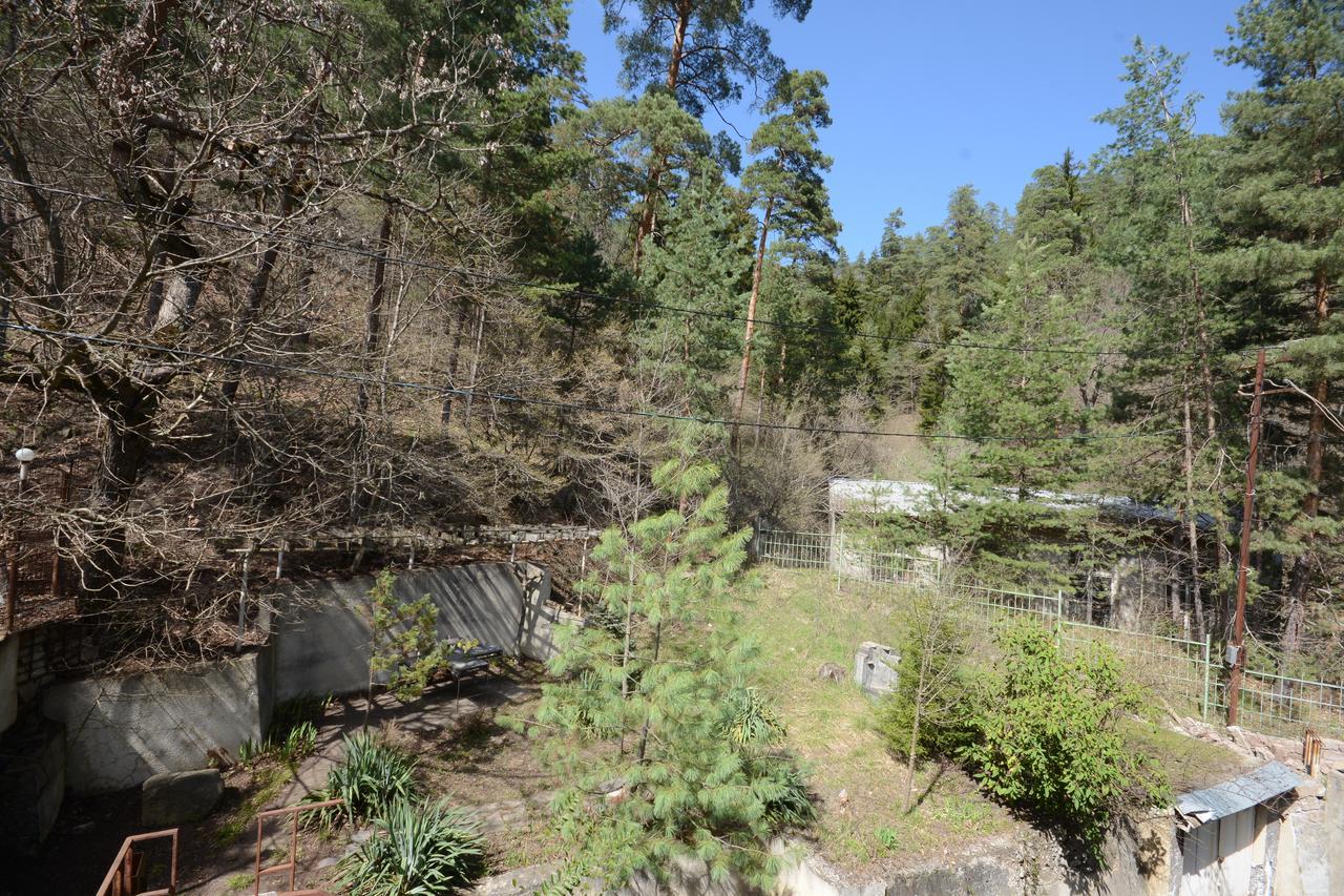 Guest House Likani 2017 Borjomi Exterior foto
