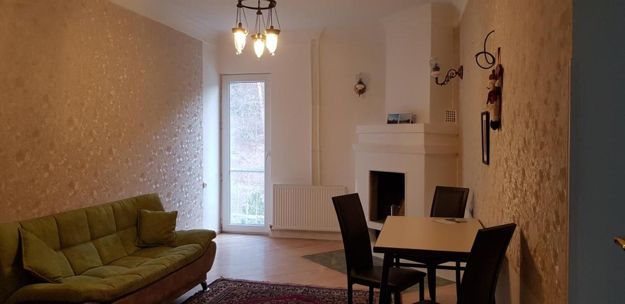 Guest House Likani 2017 Borjomi Cameră foto