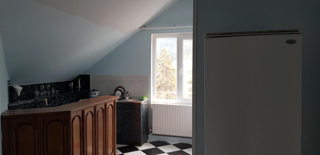 Guest House Likani 2017 Borjomi Cameră foto