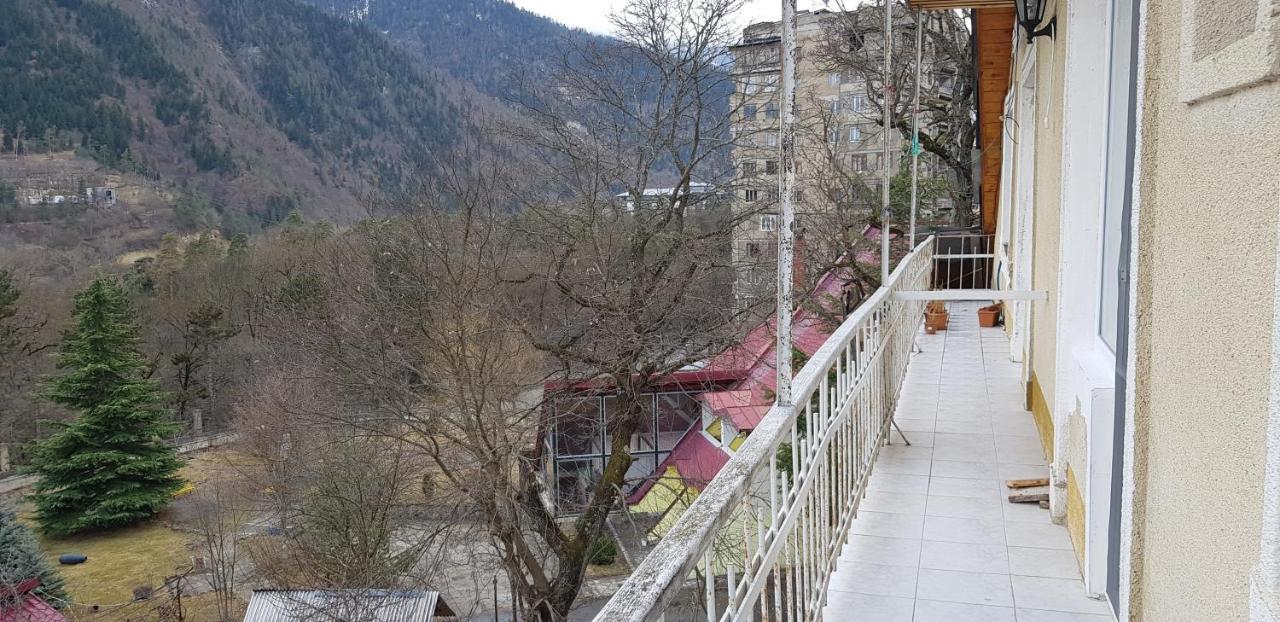 Guest House Likani 2017 Borjomi Cameră foto